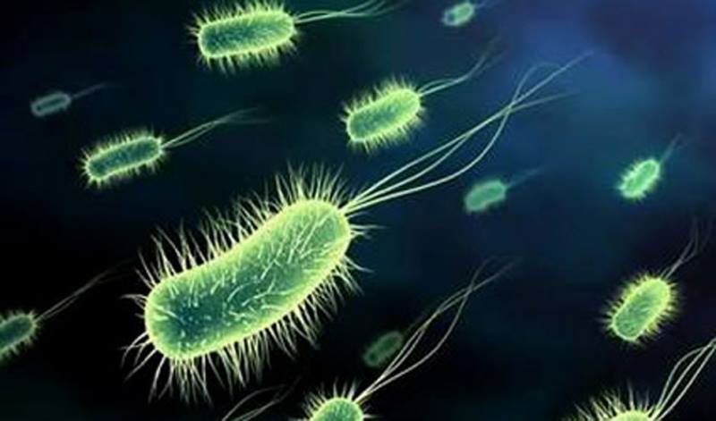 batteri-resistenti-a-tutti-gli-antibiotici